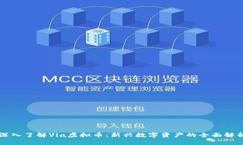 深入了解Via虚拟币:新兴数字资产的全面解析