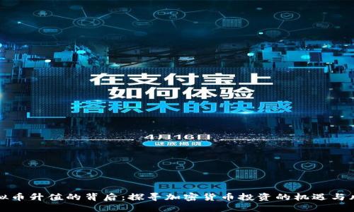 虚拟币升值的背后:探寻加密货币投资的机遇与风险