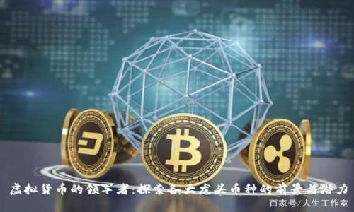 虚拟货币的领军者:探索各大龙头币种的前景与潜力