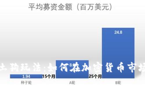 探索虚拟币土狗玩法:如何在加密货币市场中取得成功