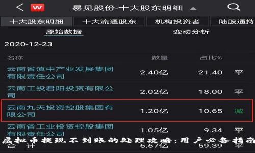 虚拟币提现不到账的处理攻略:用户必备指南