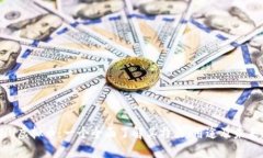 深入探讨INU虚拟币：一个全面了解其特点、用途