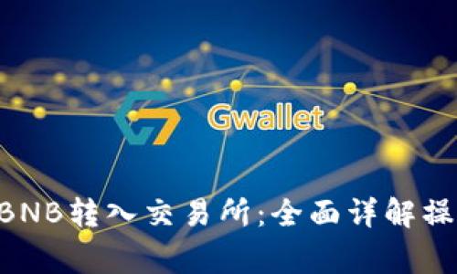 如何将TPWallet BNB转入交易所：全面详解操作步骤与注意事项