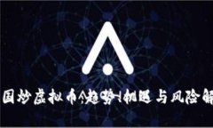 中国炒虚拟币：趋势、机遇与风险解析