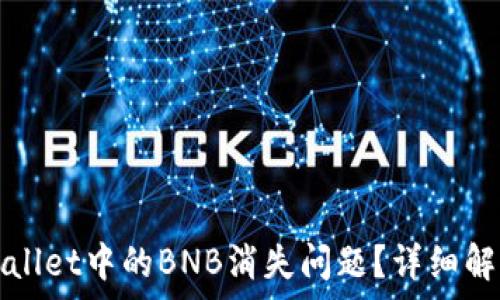   
如何解决TPWallet中的BNB消失问题？详细解析与解决方案