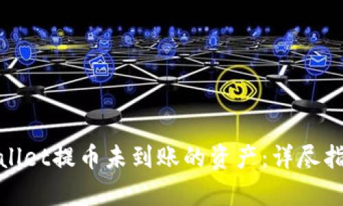 如何找回tpwallet提币未到账的资产：详尽指南与解决方案