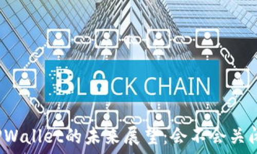   
TPWallet的未来展望：会不会关闭？