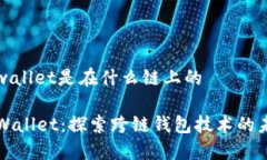 tpwallet是在什么链上的TPWallet：探索跨链钱包技术