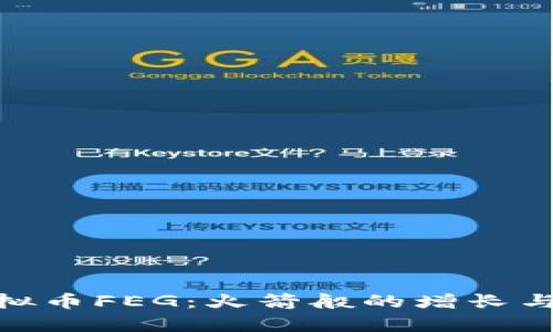: 全面解析虚拟币FEG：火箭般的增长与风险机遇并存