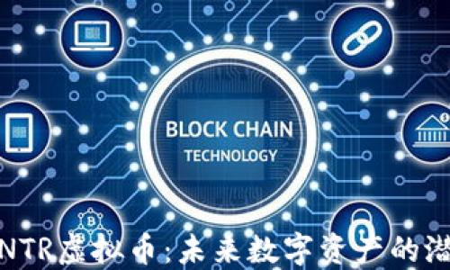
深入了解NTR虚拟币：未来数字资产的潜力与机遇