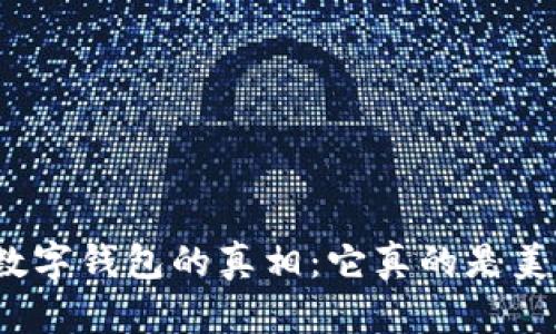 : TP数字钱包的真相：它真的是美元吗？