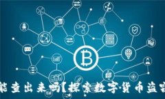   tpwallet被盗能查出来吗？探索数字货币盗窃的追