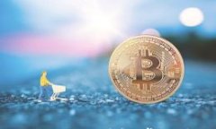 TPWallet金额不一致？详解常见问题及解决方案