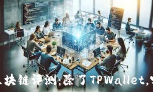   
2023年最佳区块链评测：除了TPWallet，哪些值得关注？